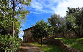 Cottimellino